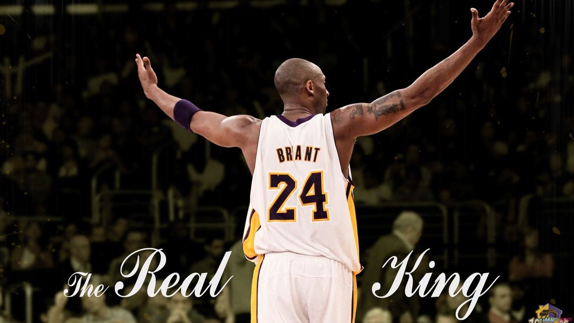 爱游戏APP-“年轻力量崛起！新秀们用表现证明自己”，nba年轻新秀